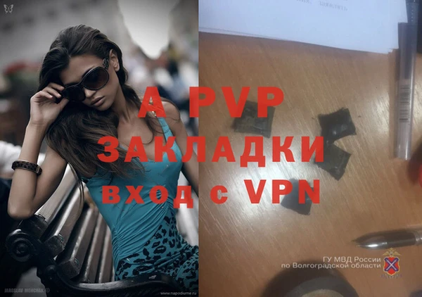 спиды Коряжма