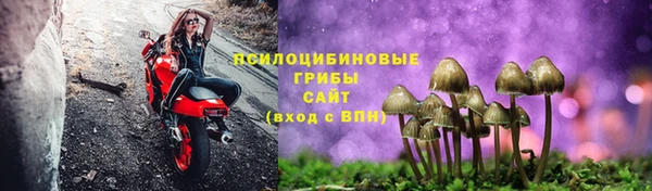 2c-b Корсаков