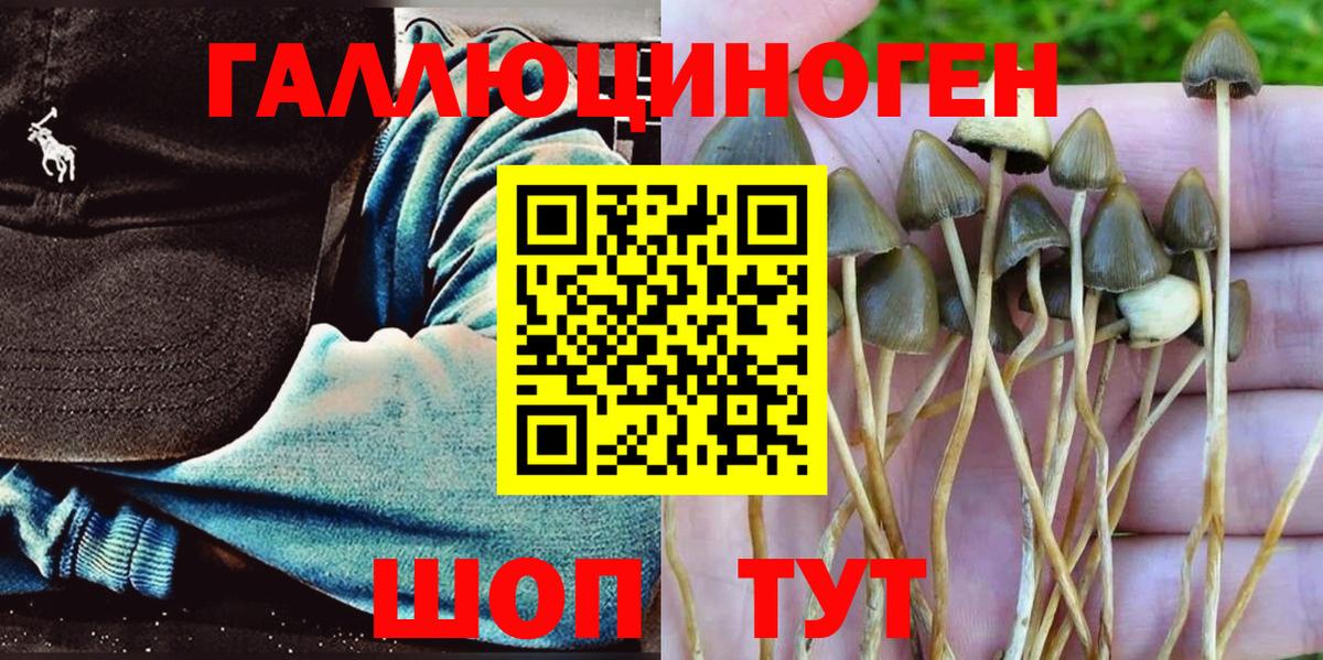 Псилоцибиновые грибы мицелий Березники