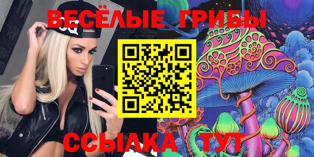 Псилоцибиновые грибы мицелий Березники