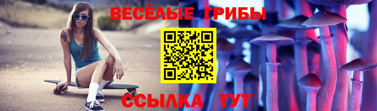 Галлюциногенные грибы ЛСД  Вход с VPN  Галлюциногенные грибы прущие грибы  Березники 