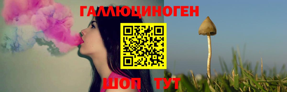 дарнет шоп  Березники  Псилоцибиновые грибы Psilocybe  Псилоцибиновые грибы мицелий 