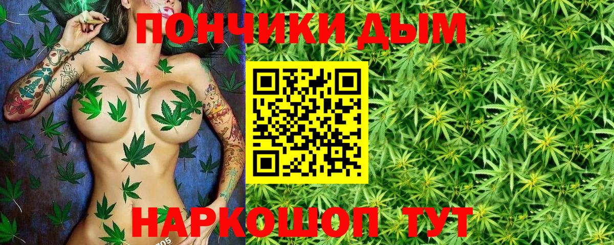 Канабис гибрид Березники
